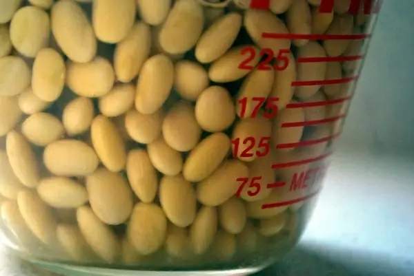 soy beans
