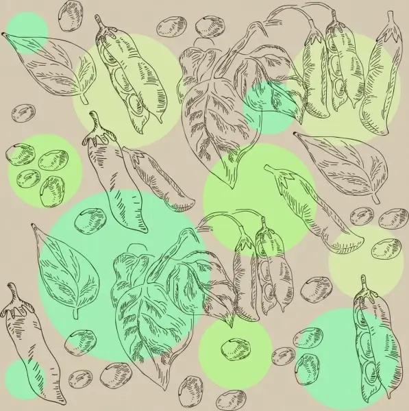 soybean background nut leaf icons handdrawn sketch