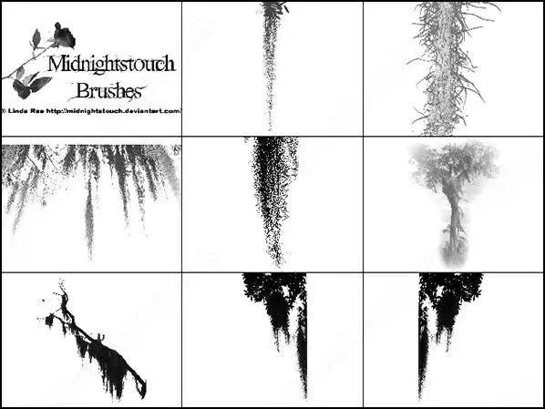 spanish moss brush