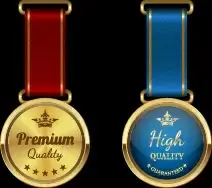 sparkling award medal vector set