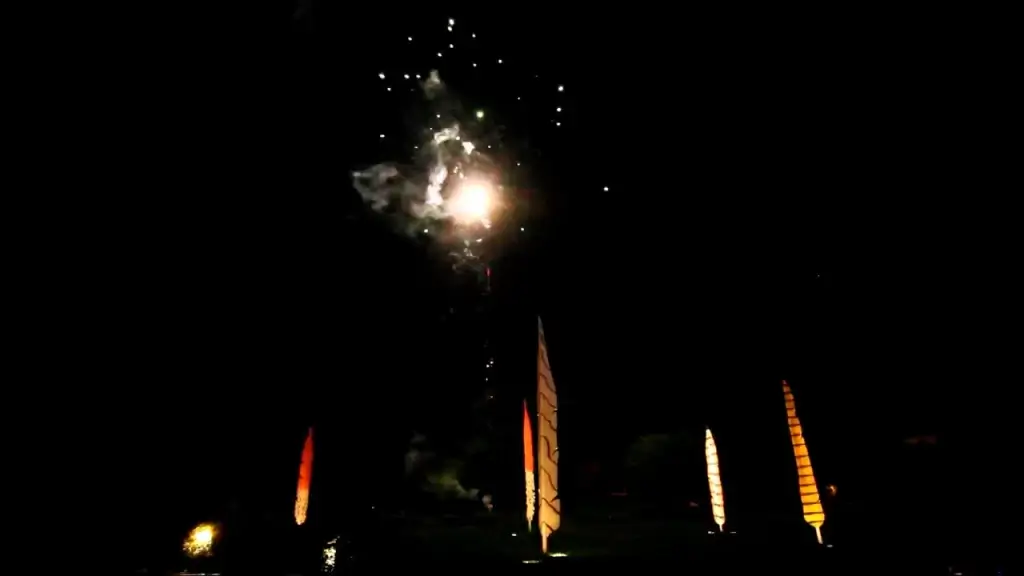 sparkling bright fireworks on dark sky