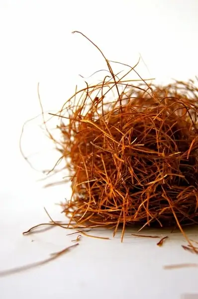 spice kitchen ingredients
