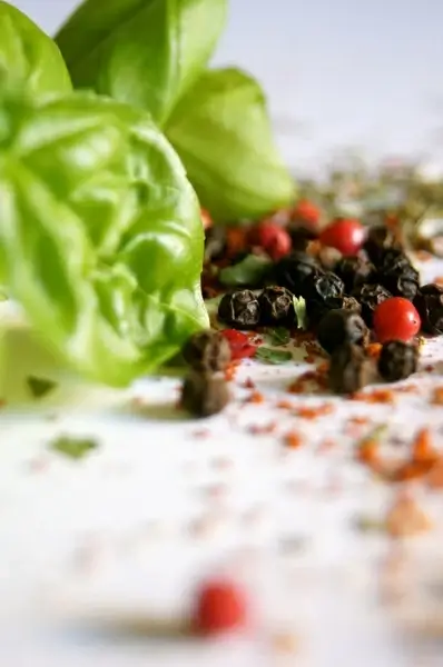 spices herbs basil