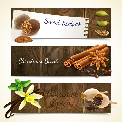 spices with wooden textures banners vector