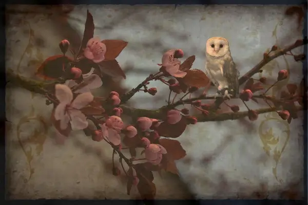 spring