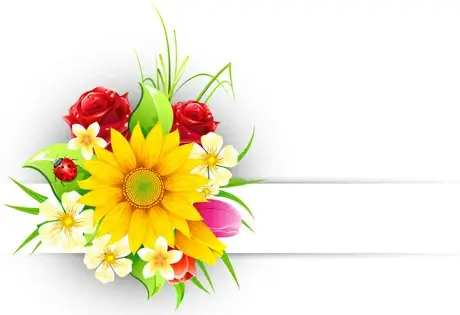 spring flower elements greeting cards vector