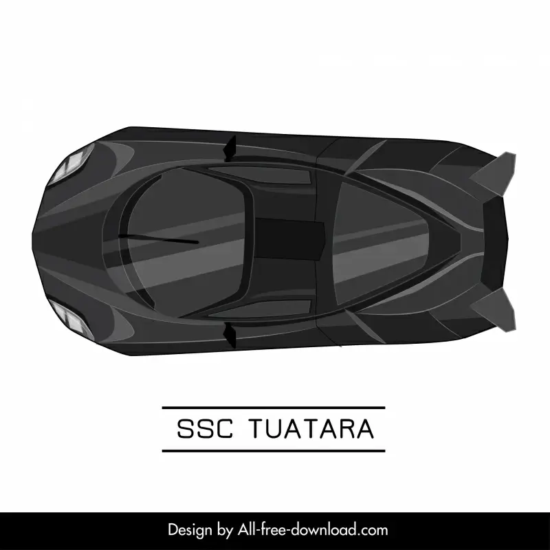 ssc tuatara car model icon modern symmetric top view design 