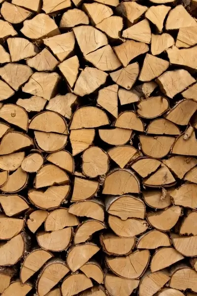 stack of firewood