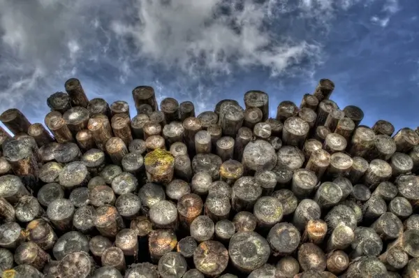 stacked lumber