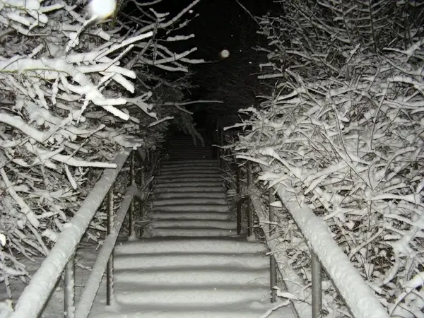 stairs covered in snow