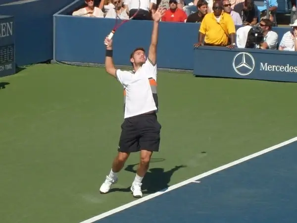 stanislas wawrinka star player