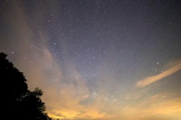 stars night milky way clouds trees 