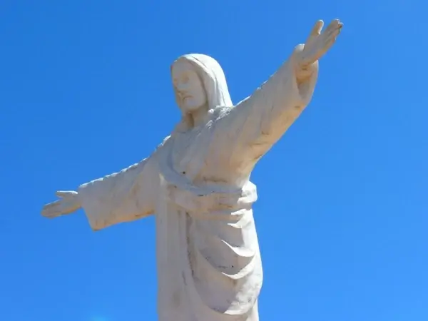 statue jesus fig