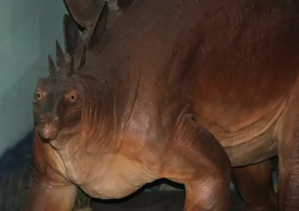 stegosaurus