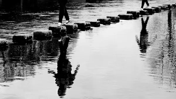 stepping stones