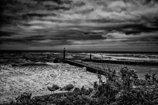stormy sea whitby