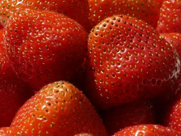 strawberries fruity red