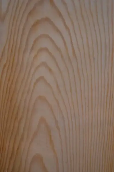 structure of wood