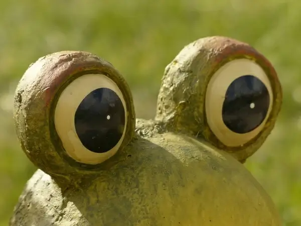 style eyes eyes view