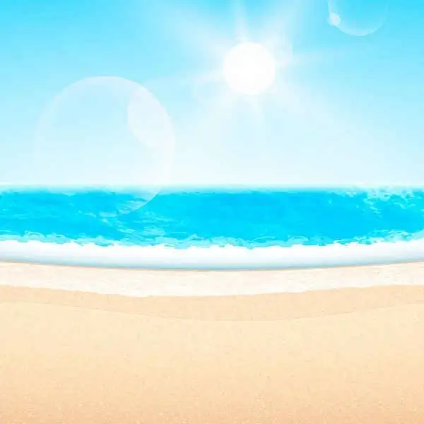 Summer beach-themed vector background