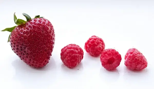 summer berry