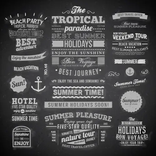 summer holidays label ornaments and logos vector 