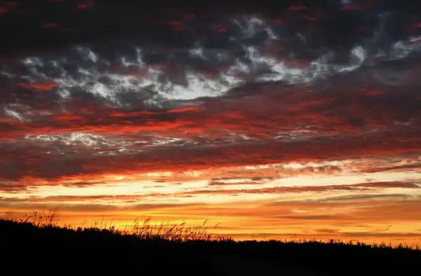 summer sunset