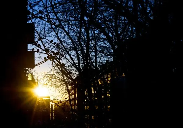 sun light