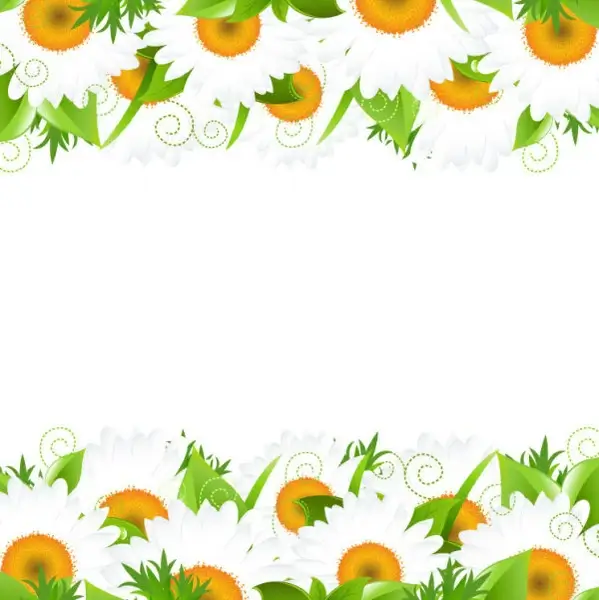 sunflower elements background vector
