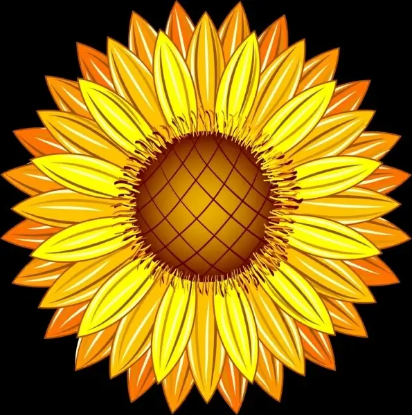 sunflower icon closeup design shiny yellow decoration