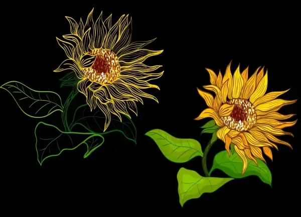 sunflowers drawing contrast design handdrawn sketch