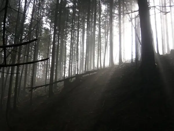 sunrays