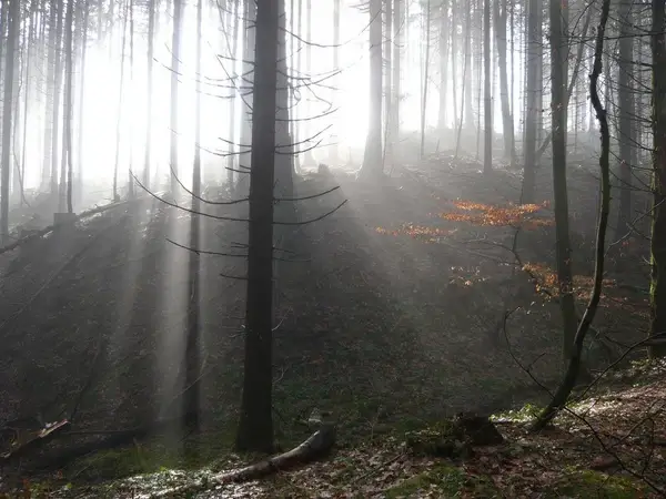 sunrays