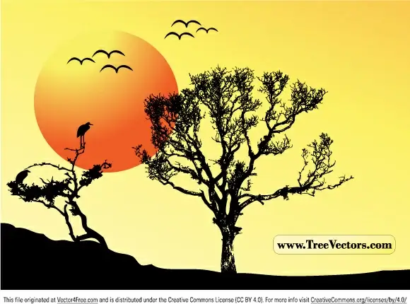 sunset vector tree background