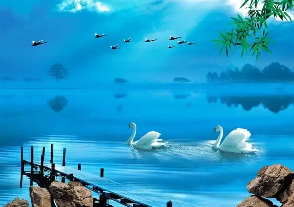 swan lake psd