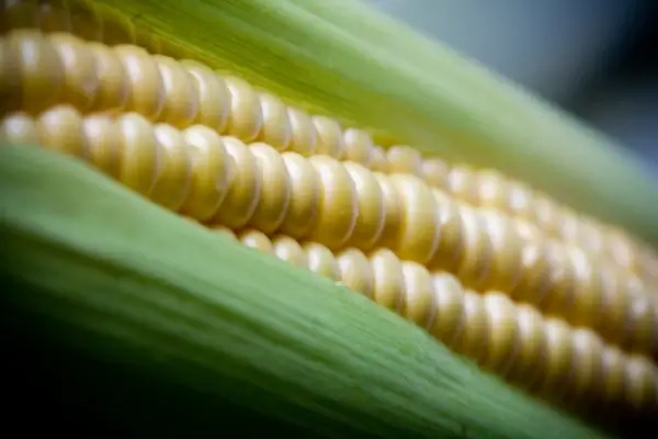 sweetcorn
