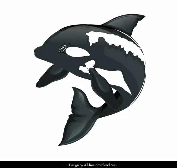 swimming dolphin icon motion ketch 3d design
