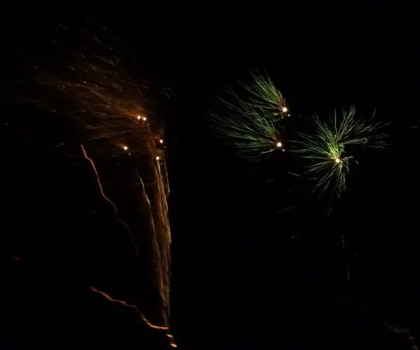 sylvester firework 2013