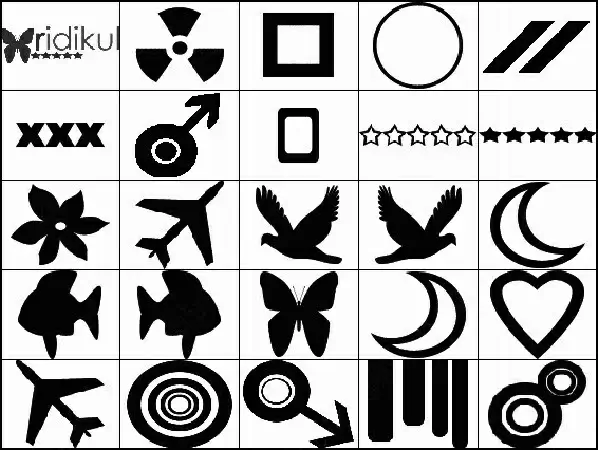 symbols and birds brush 