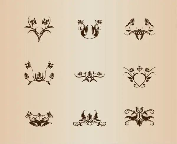 symmetrical floral element vector collection
