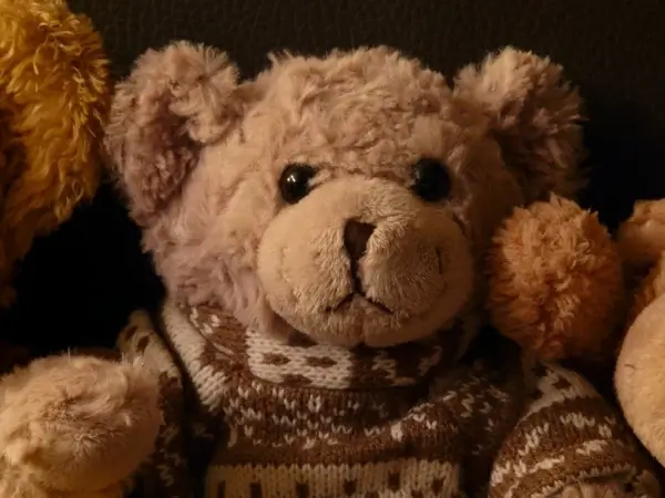 teddy bear soft fluffy