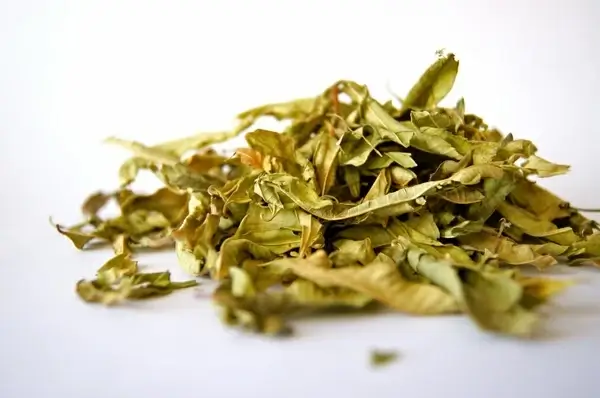 tee herb spice