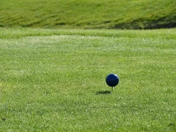 tee marker