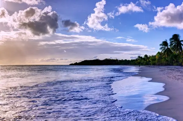the beach