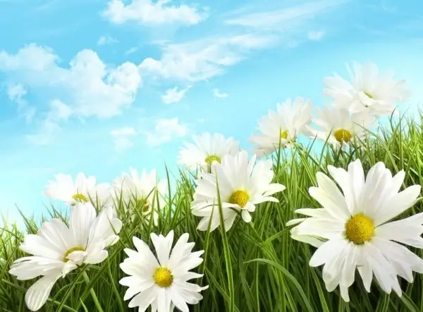 the beauty of the prairie landscape 02 hd pictures