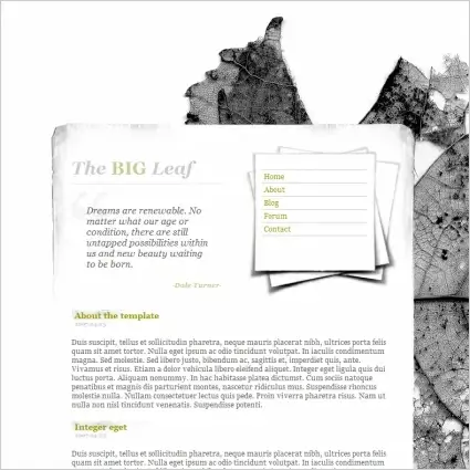 The Big Leaf Template