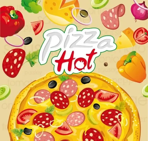 the cartoon pizza04vector