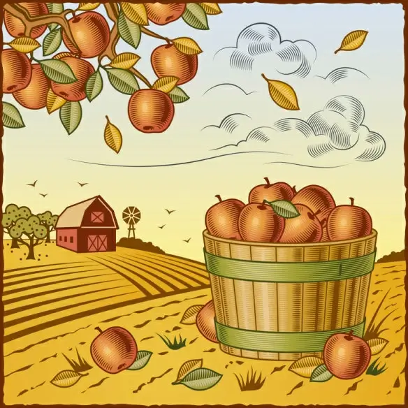 the harvest season cartoon vector