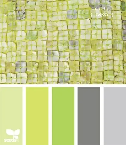 the latest colors color scheme