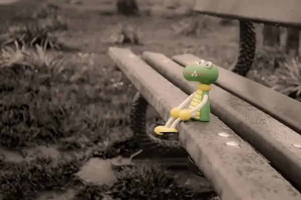 the lost toy